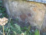 image of grave number 551044